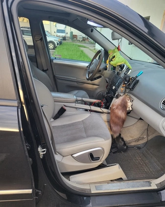 Mercedes-Benz ML cena 29950 przebieg: 292000, rok produkcji 2005 z Katowice małe 22